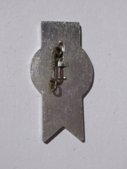 Vintage East German DDR 21st Anniversary 1970 insignia badge pin communist NVA